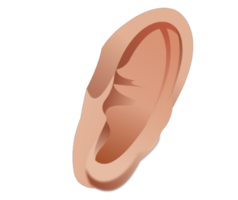 people & ear free transparent png image.