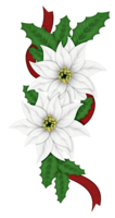 nature & edelweiss free transparent png image.