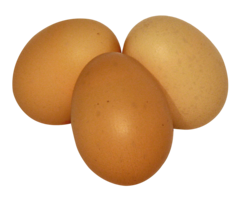 food & Eggs free transparent png image.