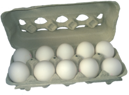 food & Eggs free transparent png image.