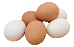 food & Eggs free transparent png image.