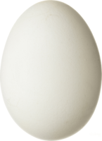 food & Eggs free transparent png image.