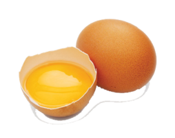 food & Eggs free transparent png image.