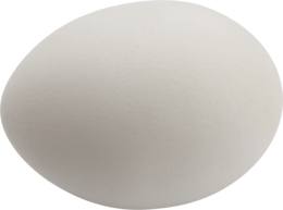 food & Eggs free transparent png image.