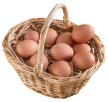 food & Eggs free transparent png image.