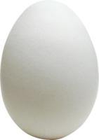 food & Eggs free transparent png image.