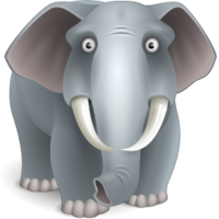 animals & elephants free transparent png image.