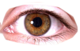 people & eyes free transparent png image.