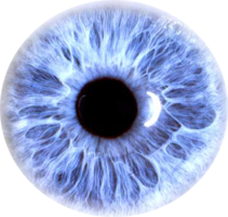 people & eyes free transparent png image.