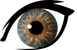 people & eyes free transparent png image.