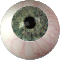 people & eyes free transparent png image.