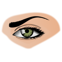 people & eyes free transparent png image.