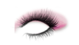 miscellaneous & eye shadow free transparent png image.