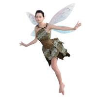 fantasy & Fairy free transparent png image.