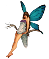 fantasy & fairy free transparent png image.