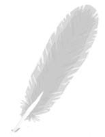 animals & Feather free transparent png image.