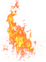 nature & Fire free transparent png image.