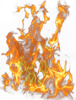 nature & Fire free transparent png image.