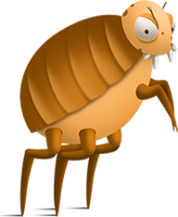 insects & Flea free transparent png image.