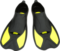 sport & flippers free transparent png image.