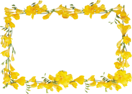 flowers & Floral frame free transparent png image.