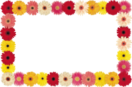 flowers & floral frame free transparent png image.