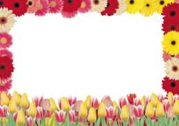 flowers & Floral frame free transparent png image.