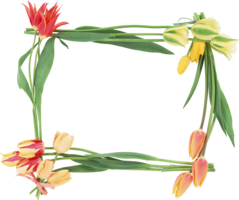 flowers & Floral frame free transparent png image.