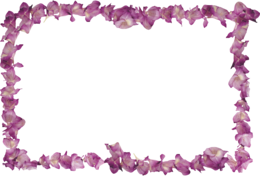 flowers & Floral frame free transparent png image.