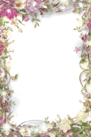 flowers & floral frame free transparent png image.