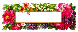 flowers & Floral frame free transparent png image.