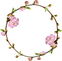 flowers & Floral frame free transparent png image.