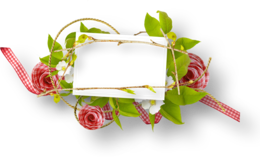 flowers & floral frame free transparent png image.