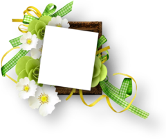 flowers & floral frame free transparent png image.