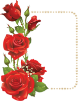 flowers & floral frame free transparent png image.