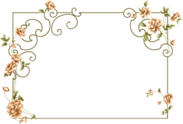 flowers & floral frame free transparent png image.