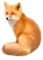 animals & Fox free transparent png image.