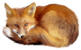 animals & Fox free transparent png image.