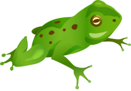 animals & Frog free transparent png image.