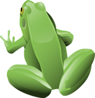 animals & Frog free transparent png image.