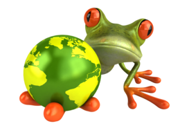 animals & Frog free transparent png image.