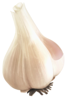 vegetables & Garlic free transparent png image.