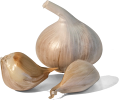 vegetables & Garlic free transparent png image.