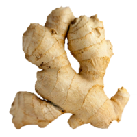 vegetables & Ginger free transparent png image.