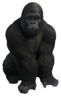 animals&Gorilla png image.