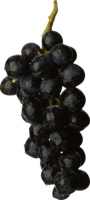 fruits & Grape free transparent png image.