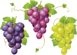 fruits & Grape free transparent png image.