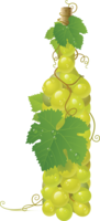 fruits & Grape free transparent png image.