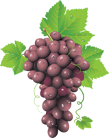 fruits & Grape free transparent png image.