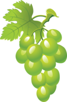 fruits & Grape free transparent png image.